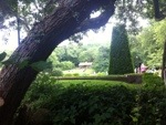 20130714-221423.jpg