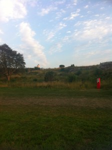 2013-08-03 050