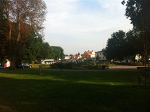 2013-08-06 022