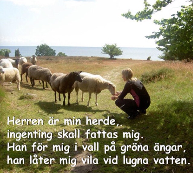 Man måste väl för fan äta!