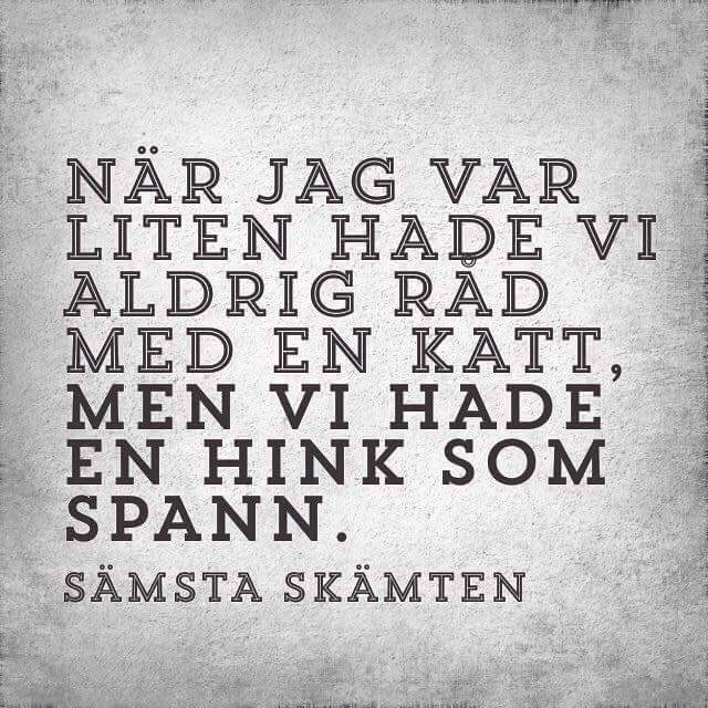 Ha råd med&nbsp;katt