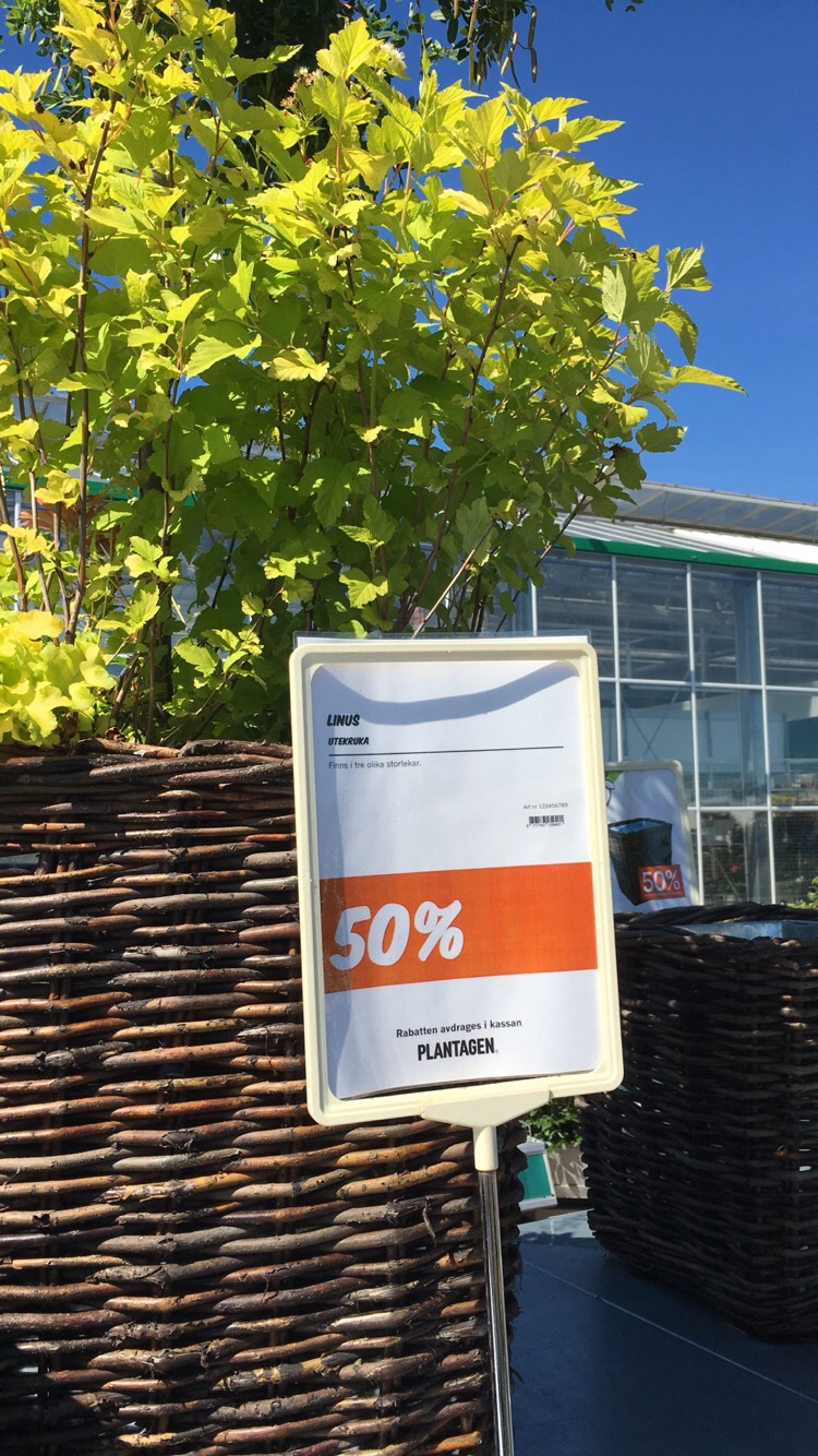 Rea på Plantagen