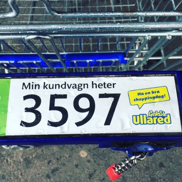 En dag på GeKås
