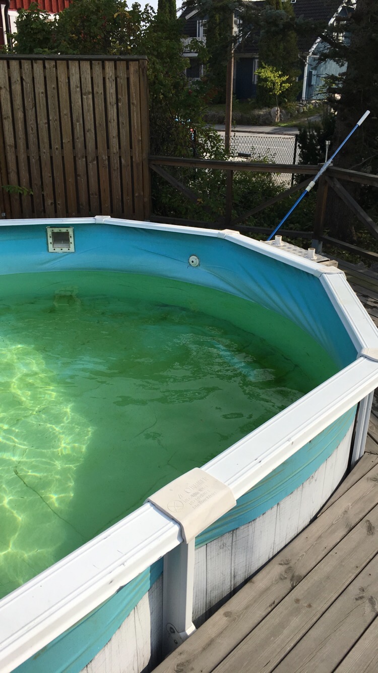Poolen i vintervila