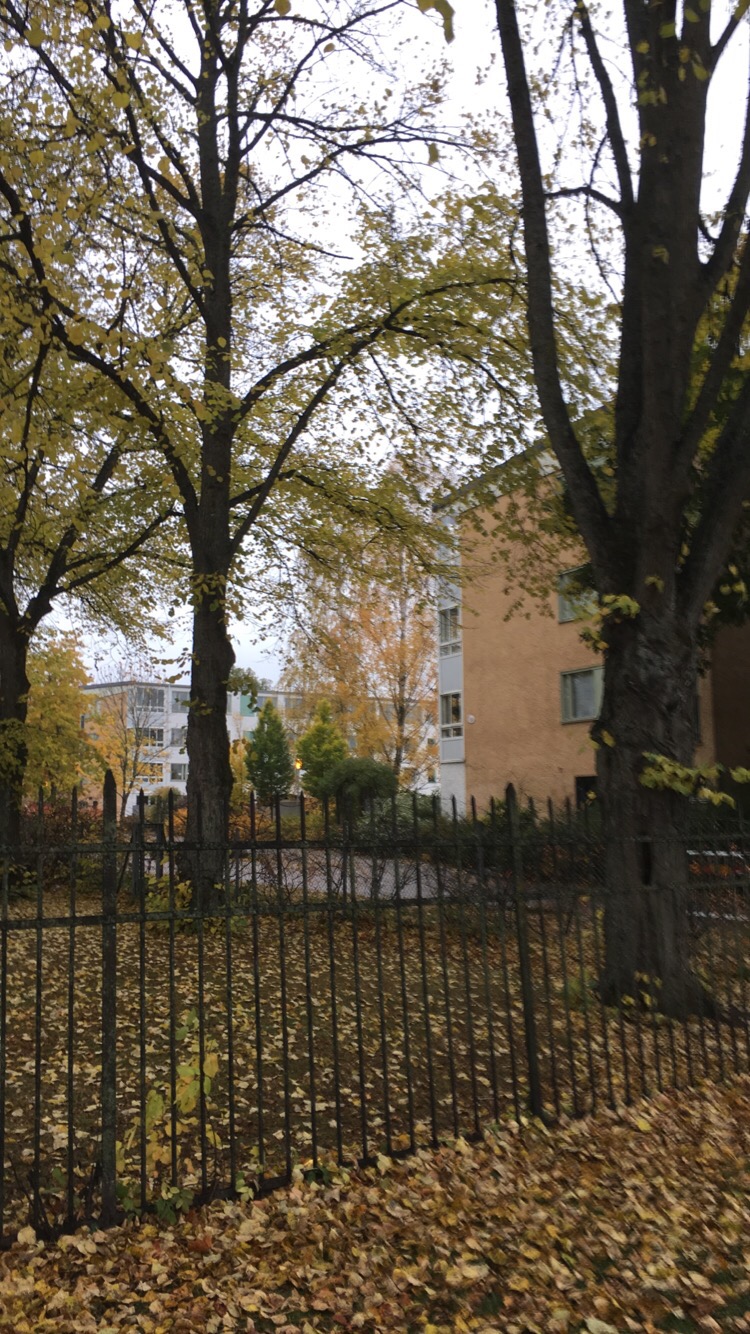 Vilse i sin egen stad 