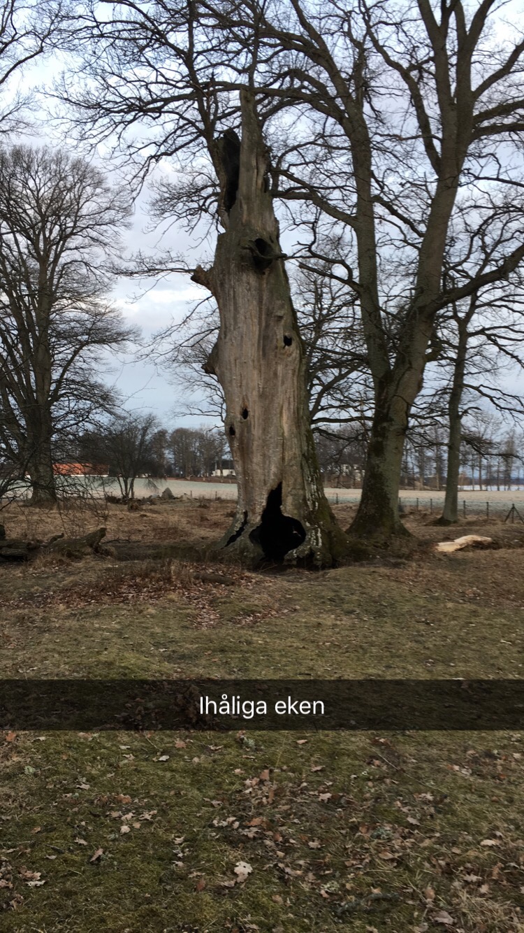 29 anständiga kilometer 