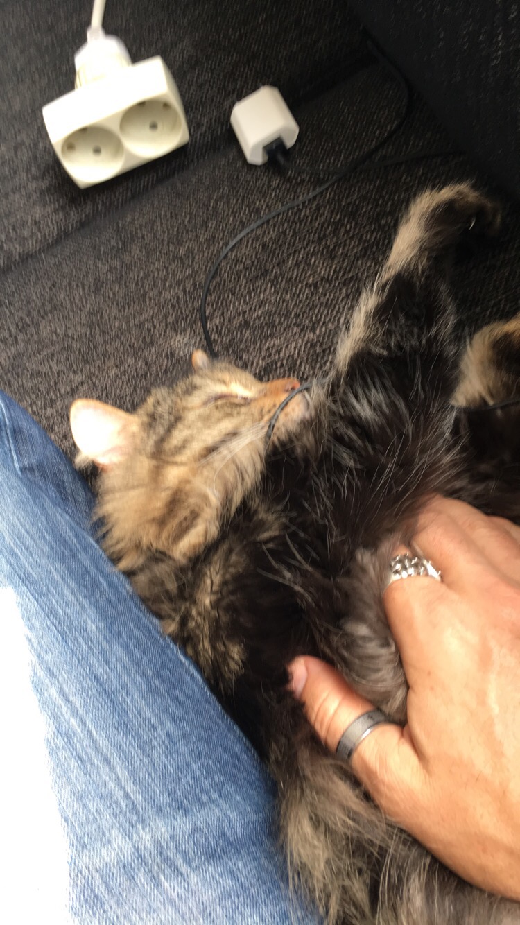 Vilade med Lillen