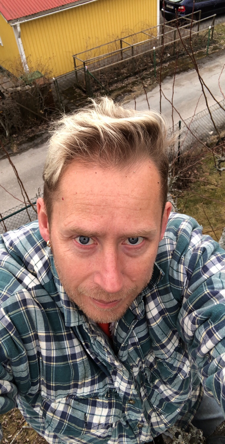 Färdig med träden