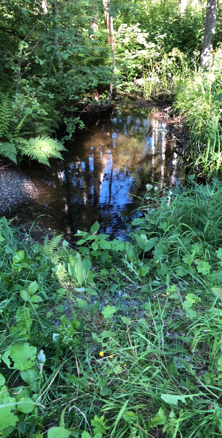 Naturupplevelse.