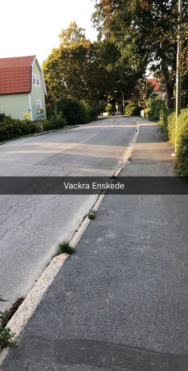 Vackra Enskede
