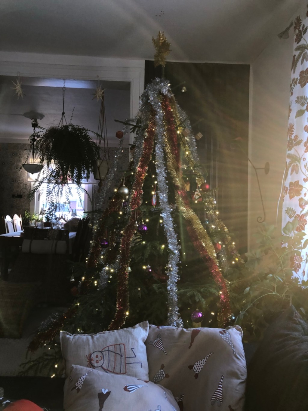 Julgodis