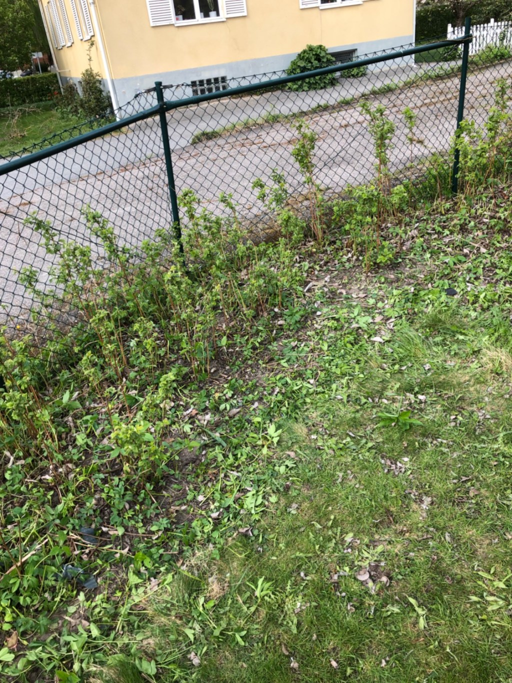 Trädgårdsdag