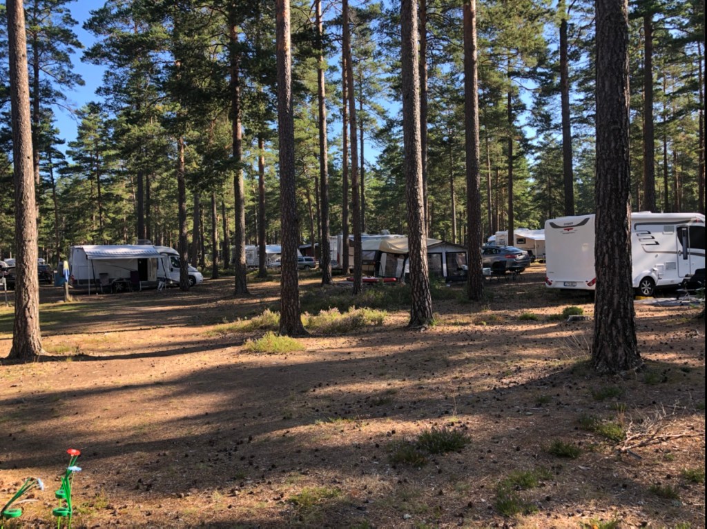 Rave party i&nbsp;skogen?